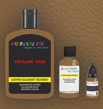 Leather repair Paint Colourant
