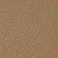 Leather Repair Paint ALL IN