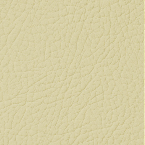 Leather repair paint all - paint, in